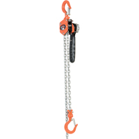 Mini Lever Hoist, 10' Lift, 500 lbs. (0.25 tons) Capacity, Steel Chain Pathway Supply LP