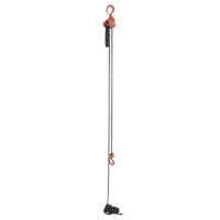 Mini palan &agrave; levier, Lev&eacute;e 15', Cabacit&eacute; 500 lb (0,25 tonne), Chaîne en Acier Pathway Supply LP