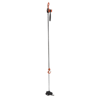Mini palan &agrave; levier, Lev&eacute;e 15', Cabacit&eacute; 500 lb (0,25 tonne), Chaîne en Acier Pathway Supply LP