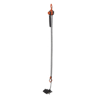 Mini palan &agrave; levier, Lev&eacute;e 15', Cabacit&eacute; 1000 lb (0,5 tonne), Chaîne en Acier Pathway Supply LP