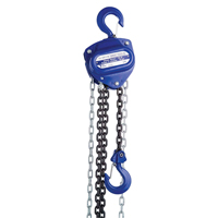 Chain Hoist, 10' Lift, 2000 lbs. (1 tons) Capacity, Load Chain Grade 80 Chain Pathway Supply LP