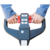 Fully Powered Electric Pallet Truck, 4500 lbs. Cap., 48" L x 30.25" W Pathway Supply LP