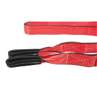 Polyester Sling, Double Ply, Twisted Eye, Type 4, 2'' W x 8' L, 6200 lbs. Vertical Cap. Pathway Supply LP