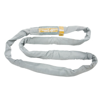 Polyester Round Sling, Grey, 4" W x 6' L, 32000 lbs. Vertical Load Pathway Supply LP