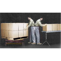 Spring-Operated Pallet Lifters - Pallet Pal&reg;, 43-5/8" L x 43-5/8" W, 4500 lbs. Cap. Pathway Supply LP