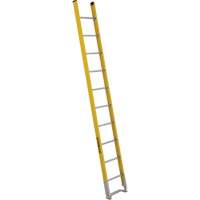 Single Section Straight Ladder - 6100 Series, 10', Fibreglass, 375 lbs., CSA Grade 1AA Pathway Supply LP