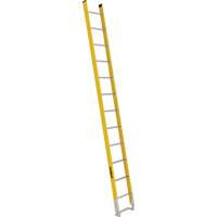 Single Section Straight Ladder - 6100 Series, 12', Fibreglass, 375 lbs., CSA Grade 1AA Pathway Supply LP