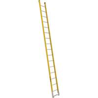 Single Section Straight Ladder - 6100 Series, 16', Fibreglass, 375 lbs., CSA Grade 1AA Pathway Supply LP