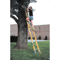 Industrial Heavy-Duty Extension Ladders (6200 Series), 375 lbs. Cap., 13' H, Grade 1AA Pathway Supply LP