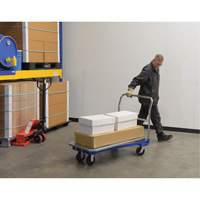 Chariot &agrave; plateforme, 48" lo x 24" la x Capacit&eacute; 1500 lb, Roues en Caoutchouc moul&eacute; Pathway Supply LP