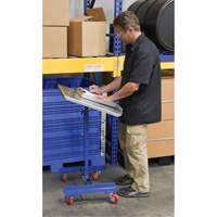 Mobile Tilting Work Table Pathway Supply LP