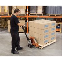 Heavy-Duty Manual Pallet Truck, Steel, 36" L x 20.5" W, 5500 lbs. Capacity Pathway Supply LP