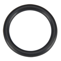 O Ring, Plain Pathway Supply LP