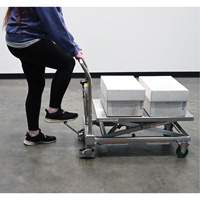 Hydraulic Scissor Lift Table, 31-1/2" L x 19-1/2" W, Stainless Steel, 550 lbs. Capacity Pathway Supply LP
