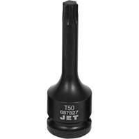 Foret &agrave; chocs, Torx, T-50 x Prise 1/2" Pathway Supply LP