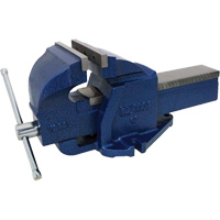 Cast Ductile Iron Bench Vise, 6" Jaw Width, 3-3/4" Throat Depth Pathway Supply LP