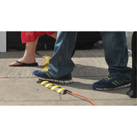 Syst&egrave;me de protection de c&acirc;bles Ultra-Sidewinder - petit , 13,125" x 3" x 0,75", 32000 lb (16 tonnes) Pathway Supply LP
