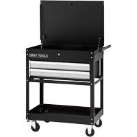 Utility Cart, 2 Drawers, 30-1/4" L x 19" W x 35-3/4" H, Black Pathway Supply LP
