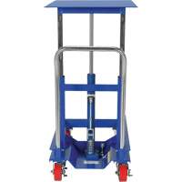 Lift Table, 30"L x 24"W, Steel, 2000 lbs. Capacity Pathway Supply LP