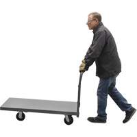 Platform Truck, 48" L x 24" W, 2000 lbs. Capacity, Rubber Casters Pathway Supply LP