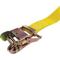 Ratchet Strap, E-Track System, 2" W x 12' L, 1333 lbs. (605 kg) Working Load Limit Pathway Supply LP