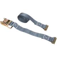 Ratchet Strap, E-Track System, 2" W x 16' L, 1333 lbs. (605 kg) Working Load Limit Pathway Supply LP
