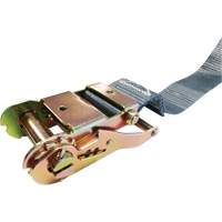 Ratchet Strap, E-Track System, 2" W x 16' L, 1333 lbs. (605 kg) Working Load Limit Pathway Supply LP