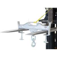 Crochet de levage &agrave; pivot double, Ouverture des fourches 7-1/4" x  2-1/2" Pathway Supply LP