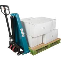 Manual Scissor Skid Lift, 45-1/4" L x 20-1/4" W, Steel, 3300 lbs. Capacity Pathway Supply LP