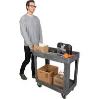 Utility Service Cart, 2 Tiers, 16-1/2" x 32-1/2" x 34-1/2", 550 lbs. Capacity Pathway Supply LP