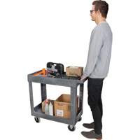 Utility Service Cart, 2 Tiers, 16-1/2" x 32-1/2" x 34-1/2", 550 lbs. Capacity Pathway Supply LP