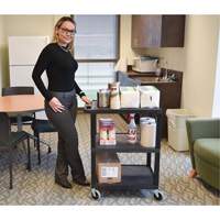 Chariot utilitaire &eacute;lectrique, 3 tiers, 24" x 42" x 18", Capacit&eacute; 300 lb Pathway Supply LP