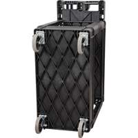 Chariot utilitaire, 2 tiers, 17-1/8" x 33-1/2" x 37-5/8", Capacit&eacute; 550 lb Pathway Supply LP