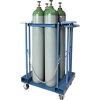 Support de rangement pour 4 cylindres pour chariot &eacute;l&eacute;vateur Pathway Supply LP