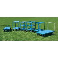 Heavy-Duty Platform Truck, 48" L x 24" W, 1200 lbs. Capacity, Flat Free Casters Pathway Supply LP