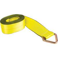 Tendeur d'arrimage logistique, Anneau delta, 30' , 4" , Charge d'utilisation max. 5400 lb (2449 kg) Pathway Supply LP