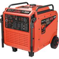 Tri-Fuel Inverter Generator Pathway Supply LP