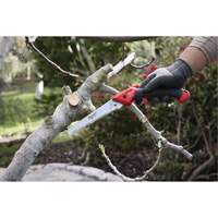 7” Folding Pruning Saw with ?Straight Blade Pathway Supply LP