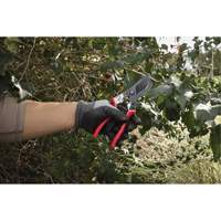 1” Angled Pruning Shears Pathway Supply LP