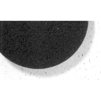 7200 Series Pad, 17", Stripping, Black Pathway Supply LP