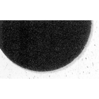 7300 Pro-Strip Pads, 17", Stripping, Black Pathway Supply LP