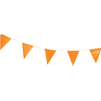 Pennant Flags