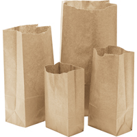 Paper Bags, Paper, 3" W x 5-7/8" L Pathway Supply LP