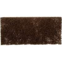 Tampon &agrave; r&eacute;curer, 10" lo x 4-5/8" la Pathway Supply LP