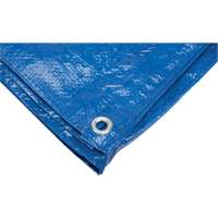 B&acirc;che, Standard, Bleu, 7' x 5' x 4 mils Pathway Supply LP
