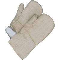 Gander Brand Mitt, Fibreglass, One Size, Protects Up To 608° F (320° C ) Pathway Supply LP
