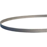 Master-Band&reg; Portable Band Saw Blades, Bi-Metal, 18 TPI, 44-7/8" L x 1/2" W Pathway Supply LP