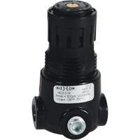 Wilkerson Miniature Regulator R03, 1/8" NPT, 300 psi Max. PSI, Standard Pathway Supply LP