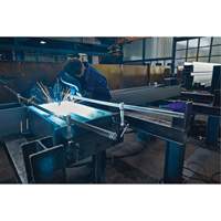 Serre-joint enti&egrave;rement en acier &agrave; double force variable Pathway Supply LP