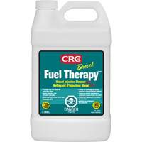 Nettoyant pour injecteur diesel Diesel Fuel Therapy Pathway Supply LP